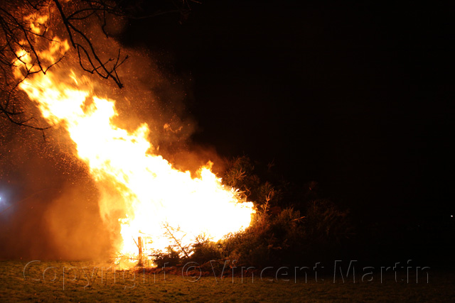 Kerstboomverbranding